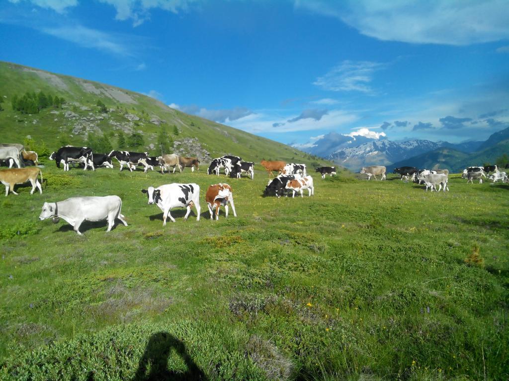 Agriturismo Raethia イゾラッチャ エクステリア 写真