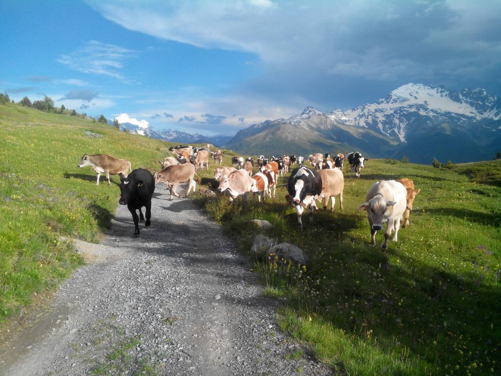 Agriturismo Raethia イゾラッチャ エクステリア 写真