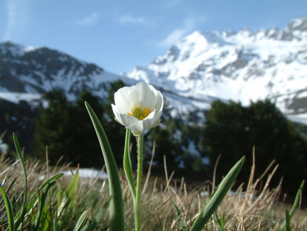 Agriturismo Raethia イゾラッチャ エクステリア 写真