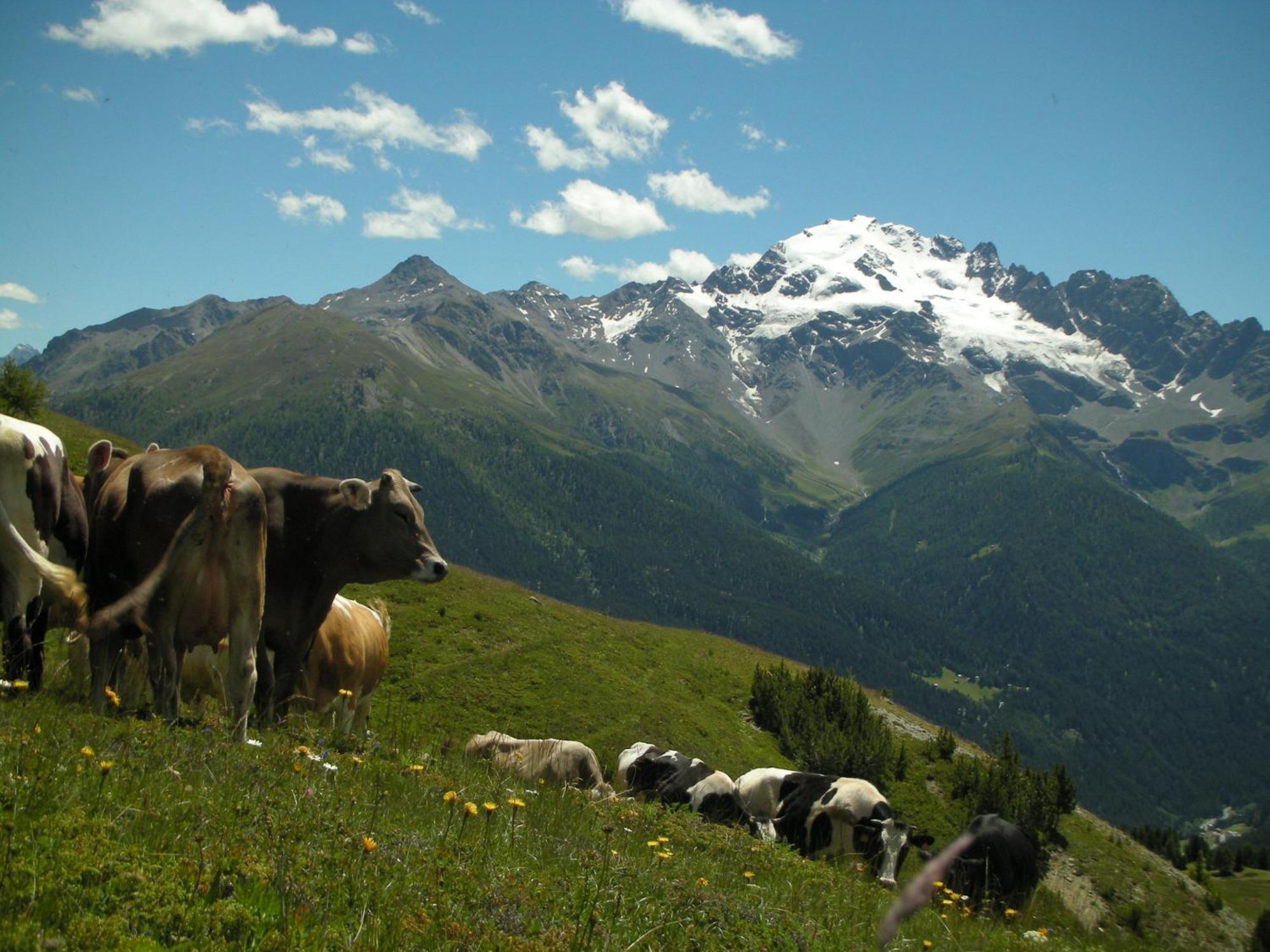 Agriturismo Raethia イゾラッチャ エクステリア 写真