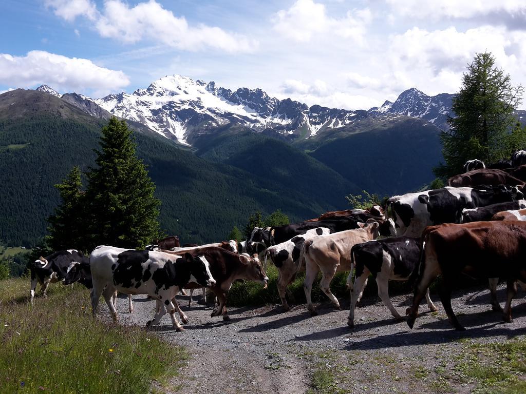 Agriturismo Raethia イゾラッチャ エクステリア 写真