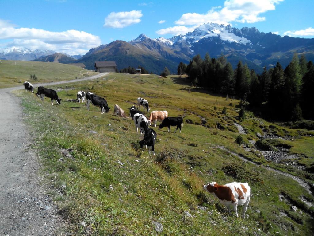 Agriturismo Raethia イゾラッチャ エクステリア 写真